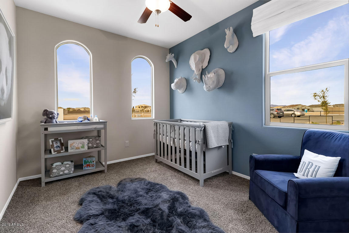 31066 West Osborn Road Buckeye, AZ 85396 - Photo 4 of 53 dove