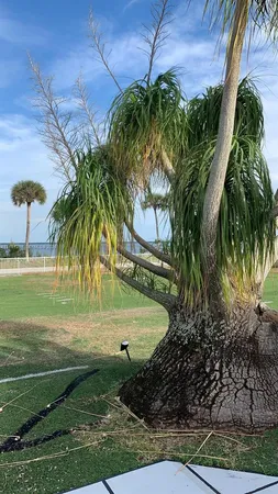 a view of a swimming pool with a yard