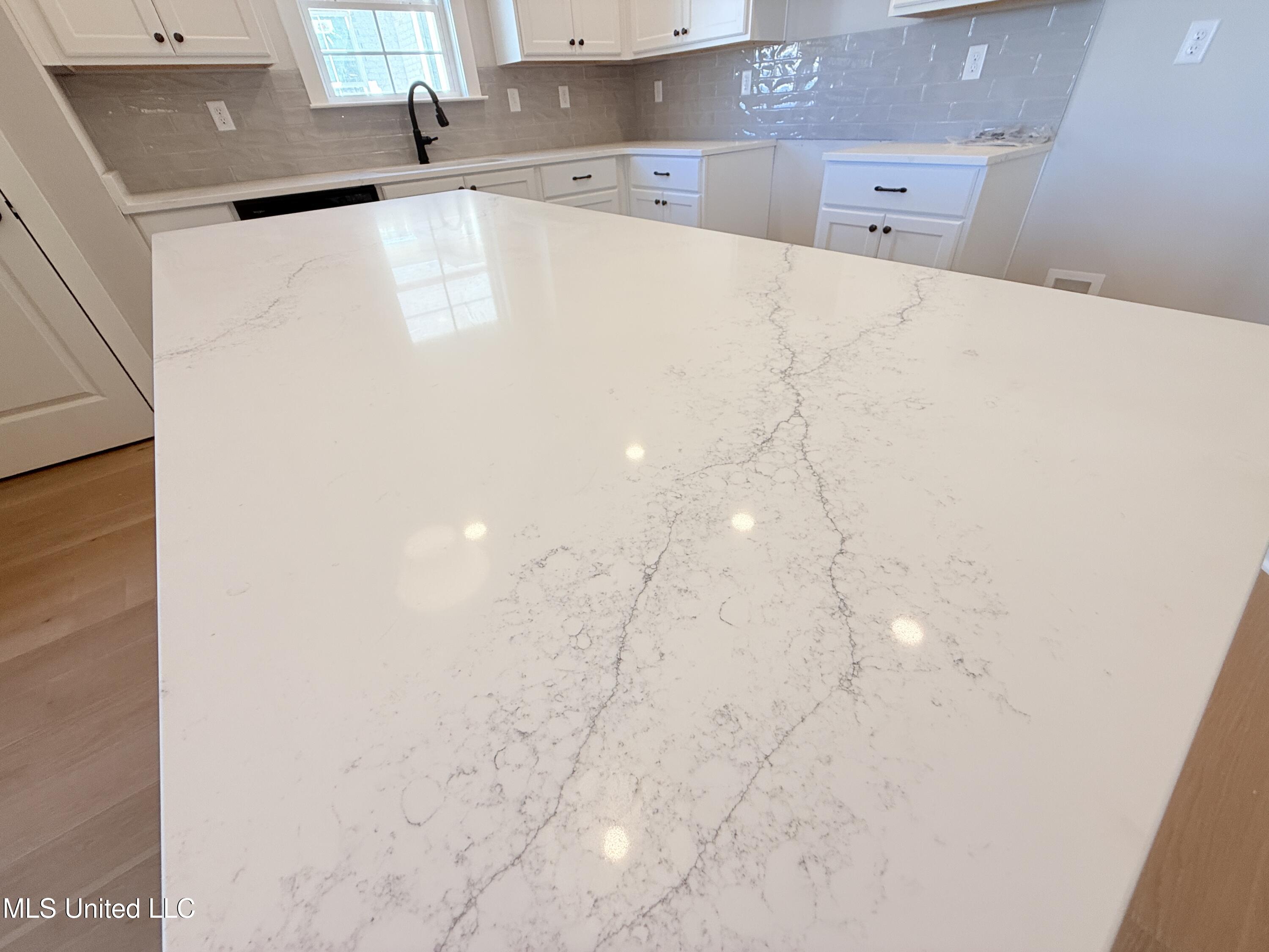 645 Isaquena Street Nesbit, MS 38651 - Photo 11 of 31 IMG_1675