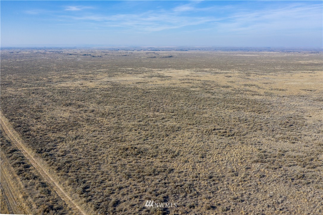 129 Tract Eagle Springs Ranch Marlin, WA 98832 - Photo 12 of 23