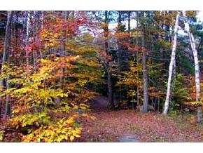 0 Kearsarge Gore Road North Sutton, NH 03260 - Photo 3 of 9 Gallery Image 3