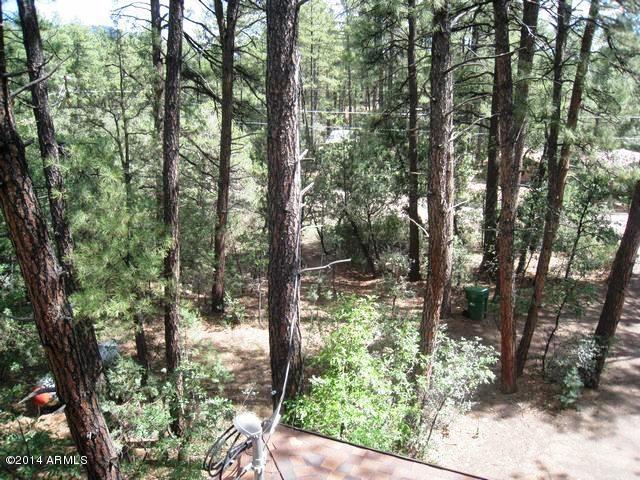 6816 Hardscrabble Mesa Road Pine, AZ 85544 - Photo 7 of 30 Nicely Treed