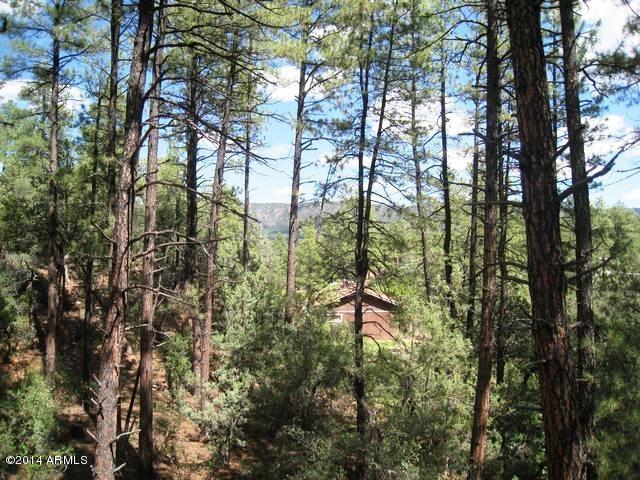 6816 Hardscrabble Mesa Road Pine, AZ 85544 - Photo 9 of 30 View