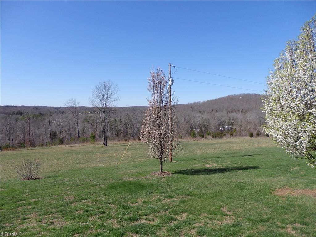 2252 Ross Wood Road Trinity, NC 27370 - Photo 25 of 30 panoramic views