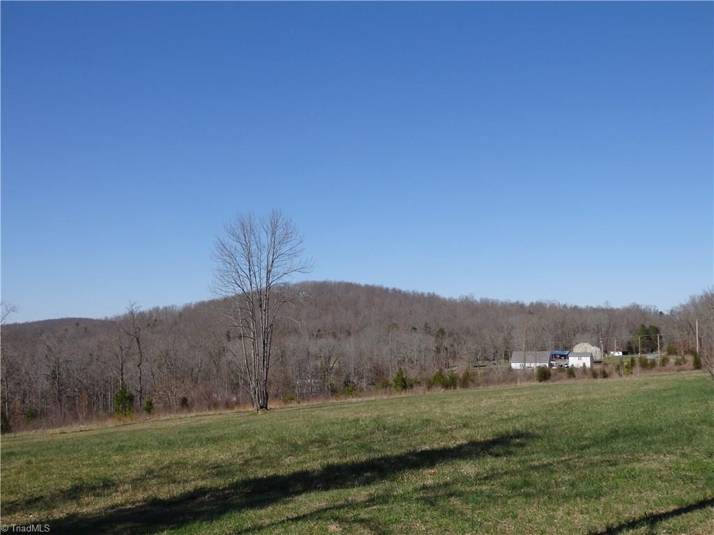 2252 Ross Wood Road Trinity, NC 27370 - Photo 27 of 30 view from front