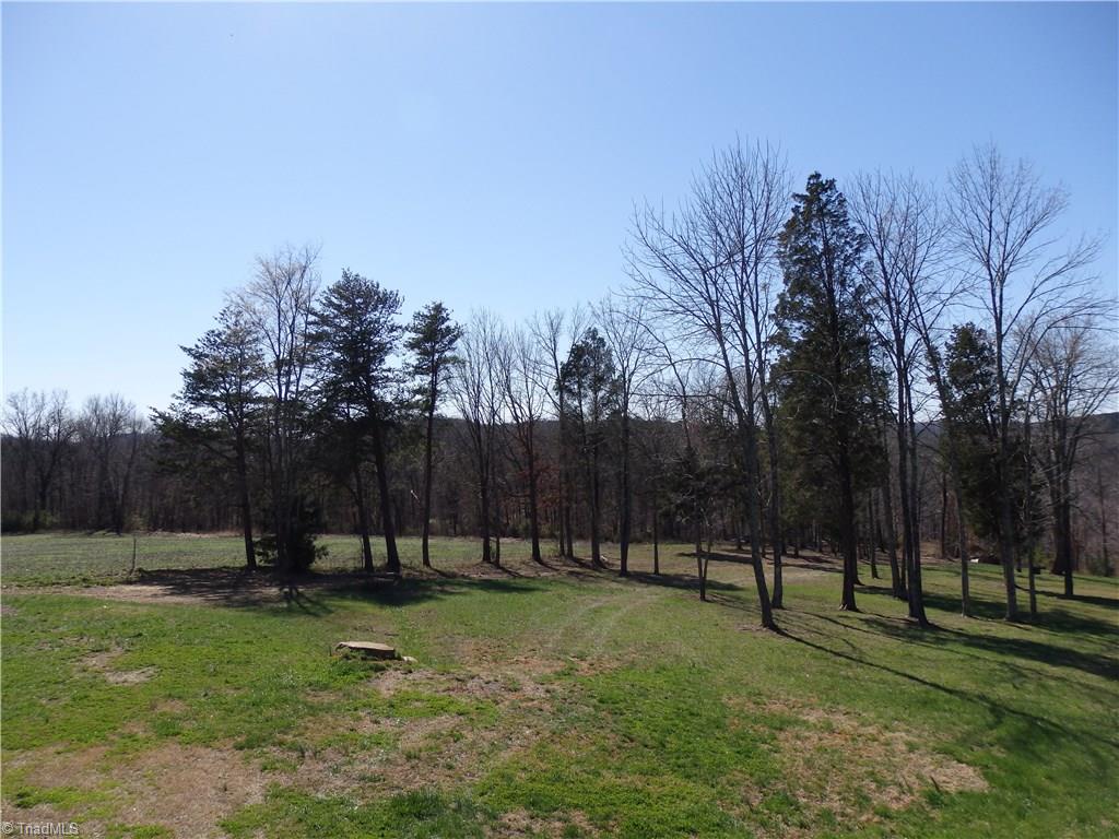 2252 Ross Wood Road Trinity, NC 27370 - Photo 28 of 30 side yard
