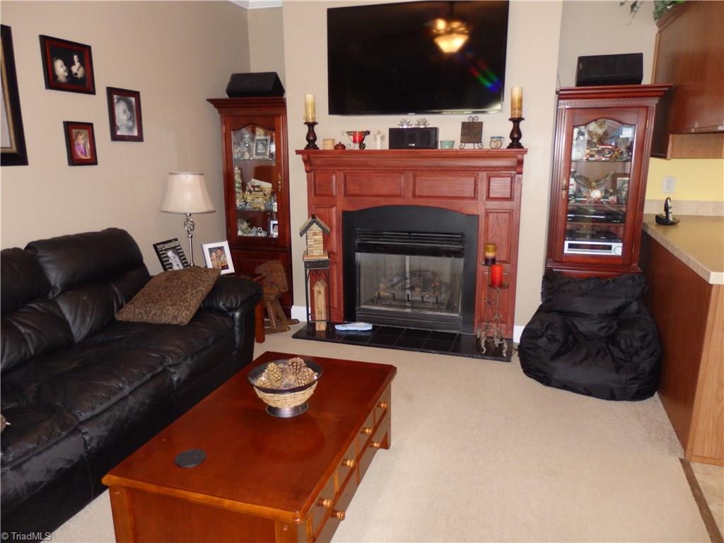 2252 Ross Wood Road Trinity, NC 27370 - Photo 9 of 30 living room with gas logs