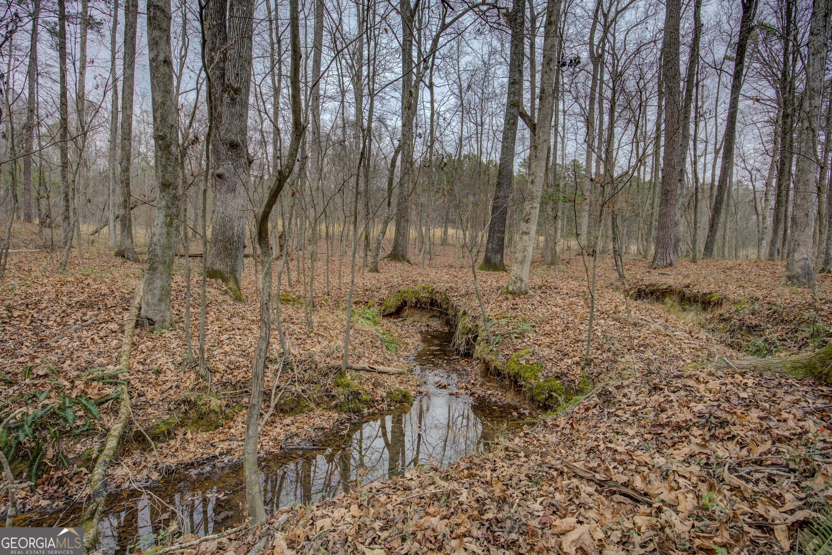 2049 Midway Church Road Newborn, GA 30056 - Photo 69 of 71
