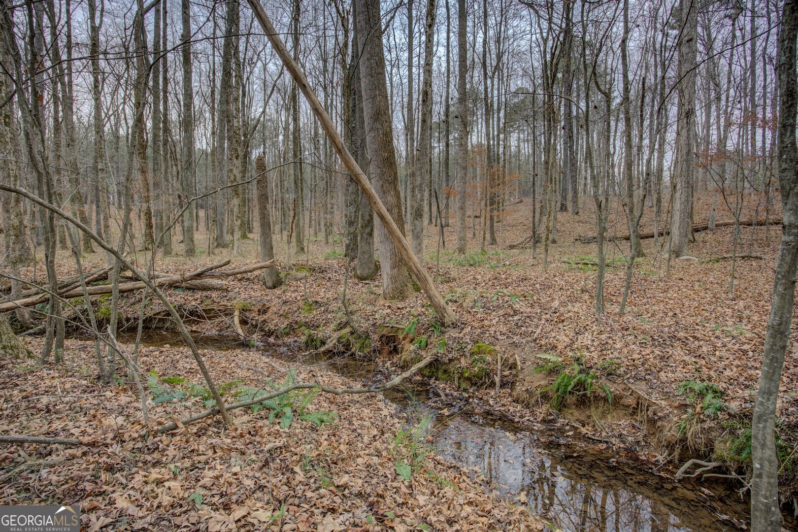 2049 Midway Church Road Newborn, GA 30056 - Photo 70 of 71 a view of a backyard