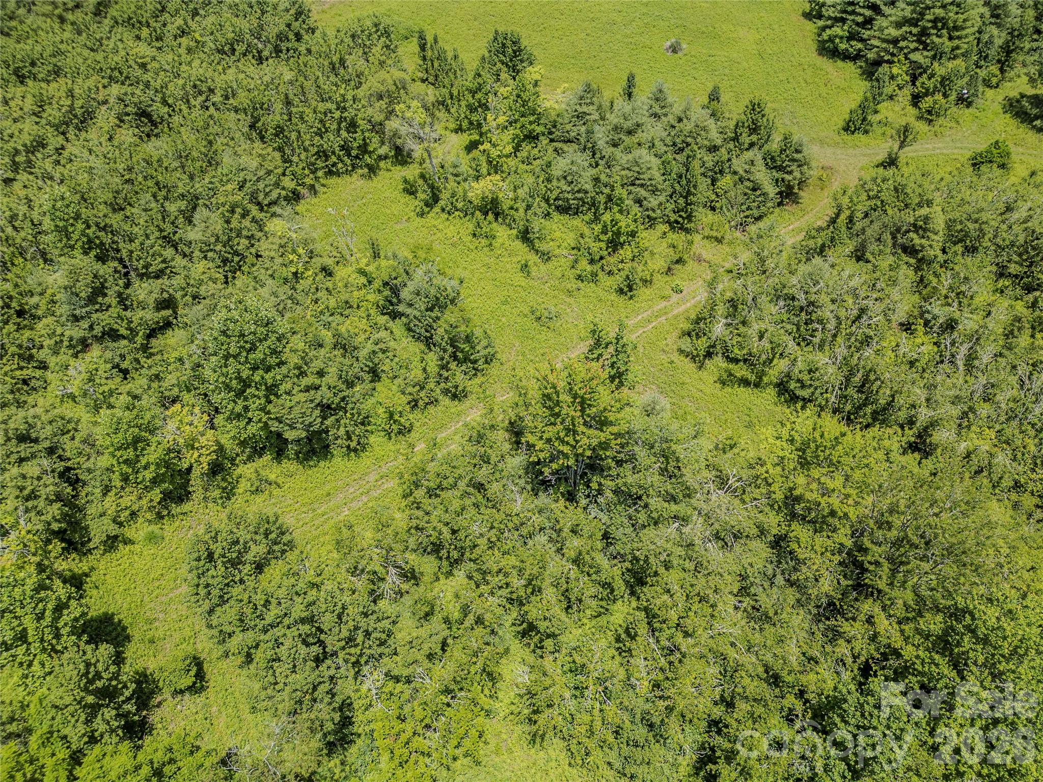 Tbd Canebrake Road Pisgah Forest, NC 28768 - Photo 40 of 43