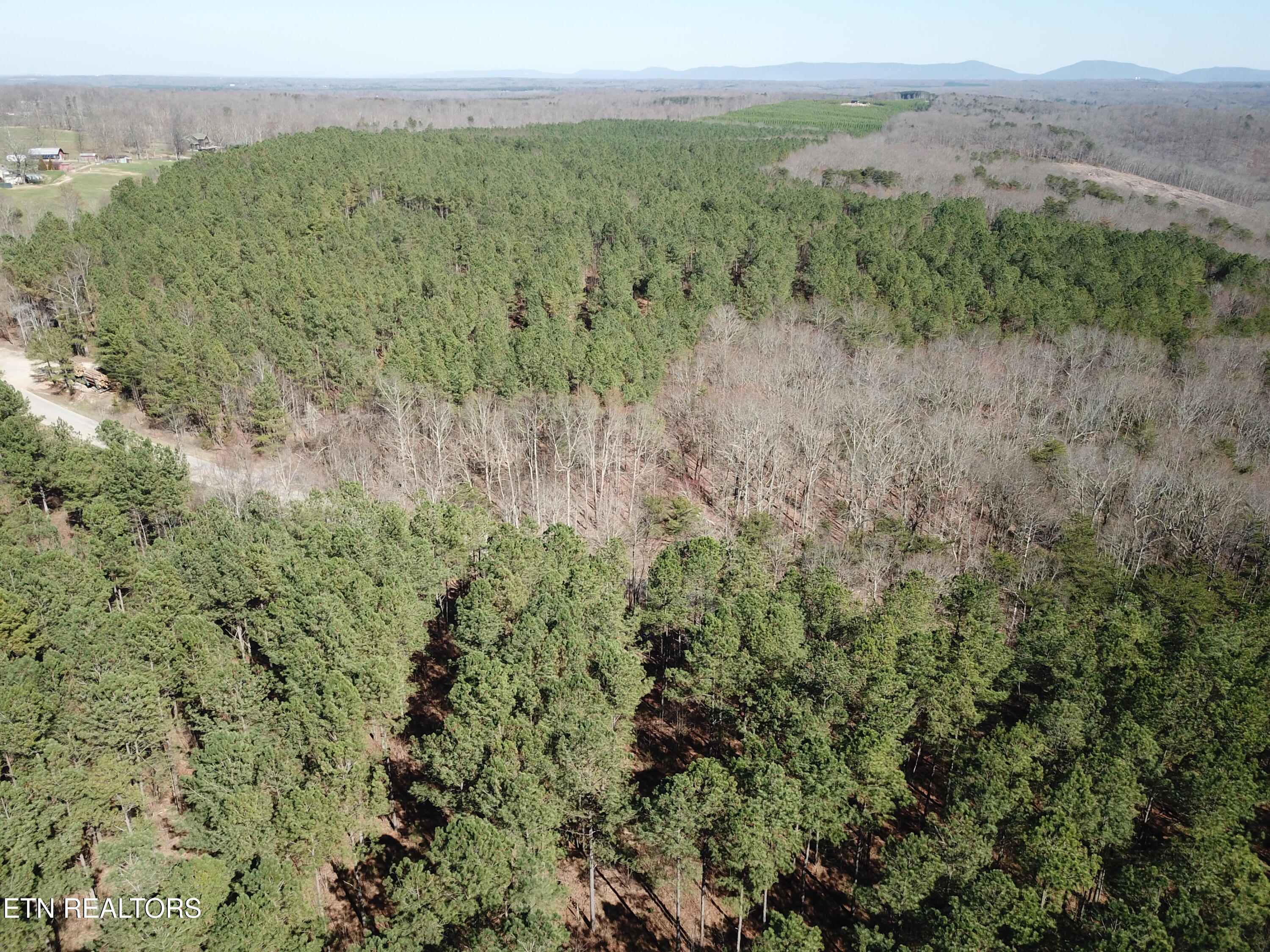 Buckridge Road Crossville, TN 38572 - Photo 11 of 26 DJI_0069