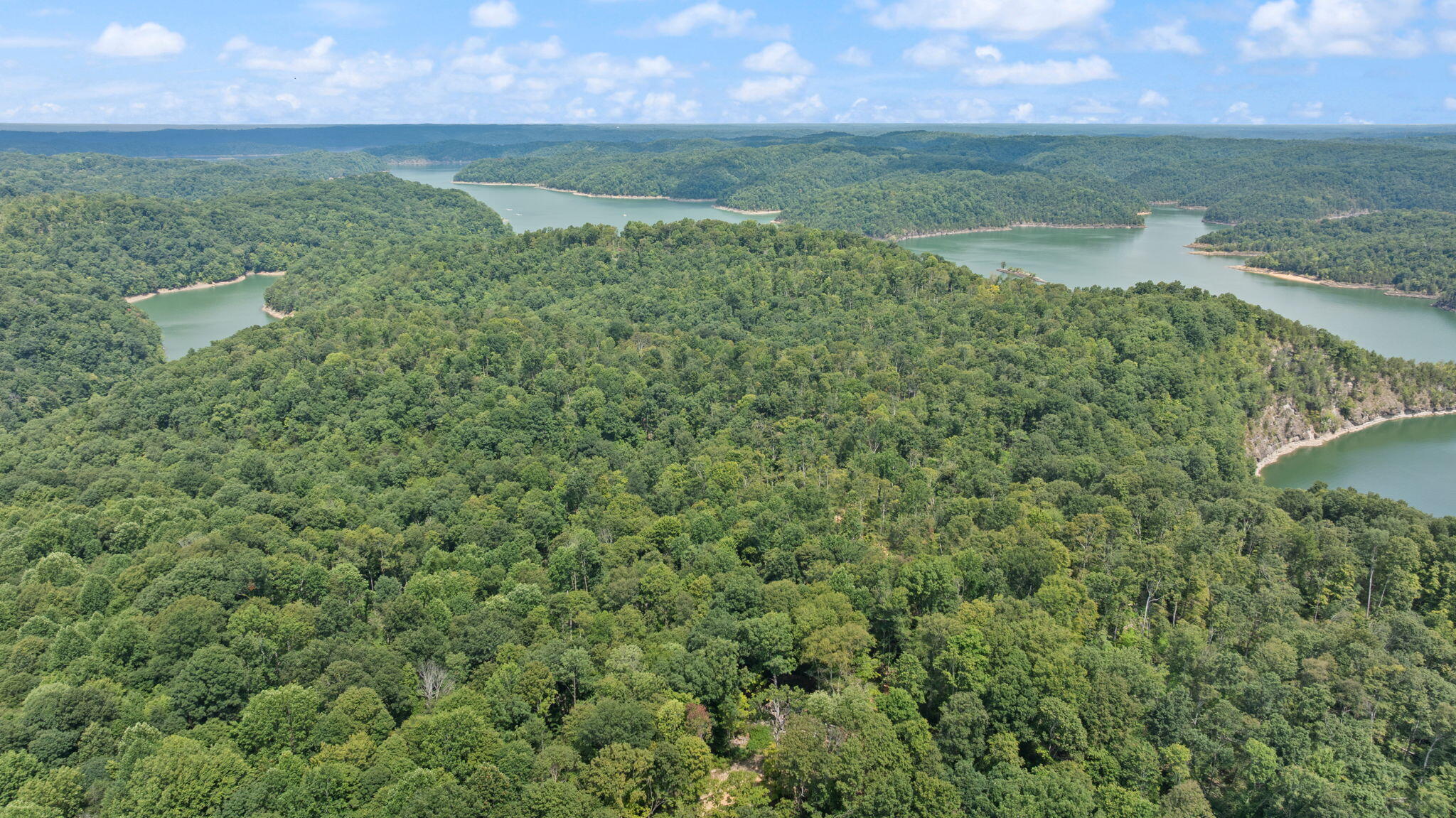1412 George Garner Road Monticello, KY 42633 - Photo 11 of 42 11-web-or-mls-DJI_20250728115442_0122_D