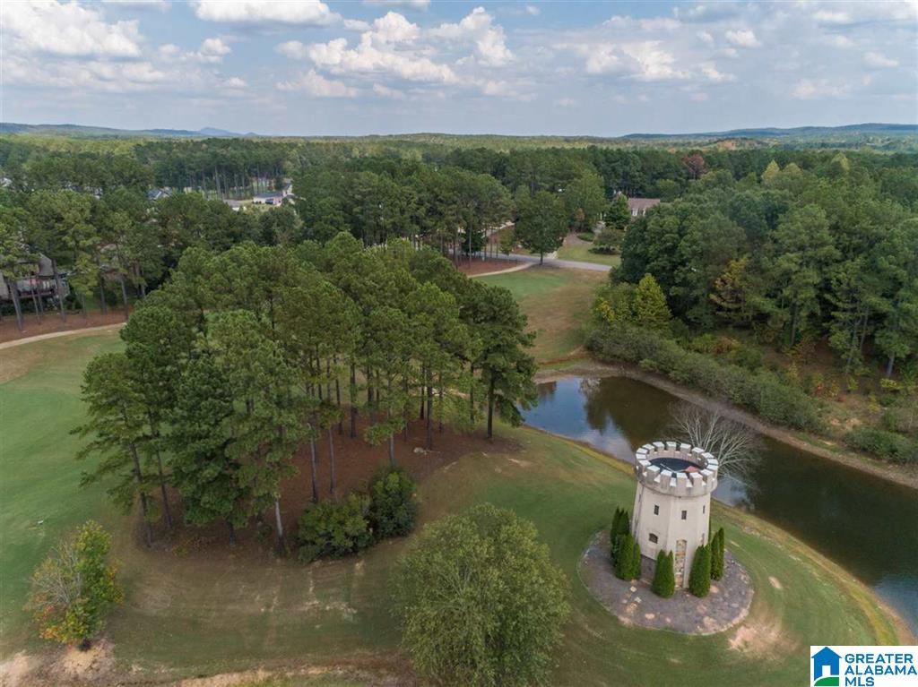 319 Kilkerran Lane Pelham, AL 35124 - Photo 44 of 45