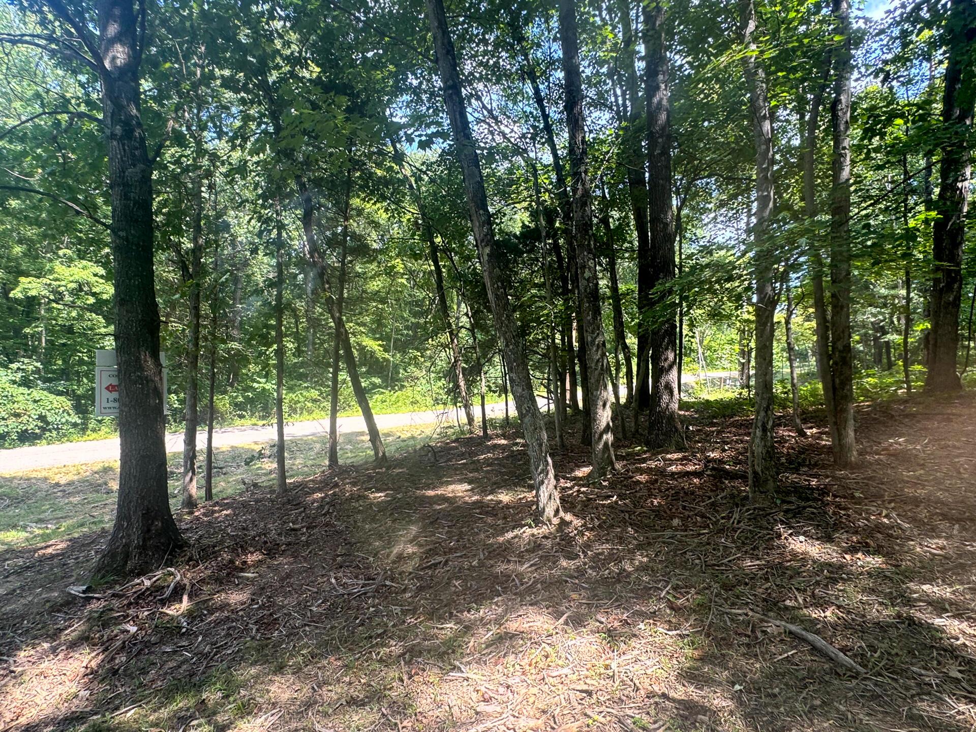 286 Golf Course Road, Unit TRACT 7 SKYLINEACRES) Waverly, OH 45690 - Photo 23 of 46 CT-23