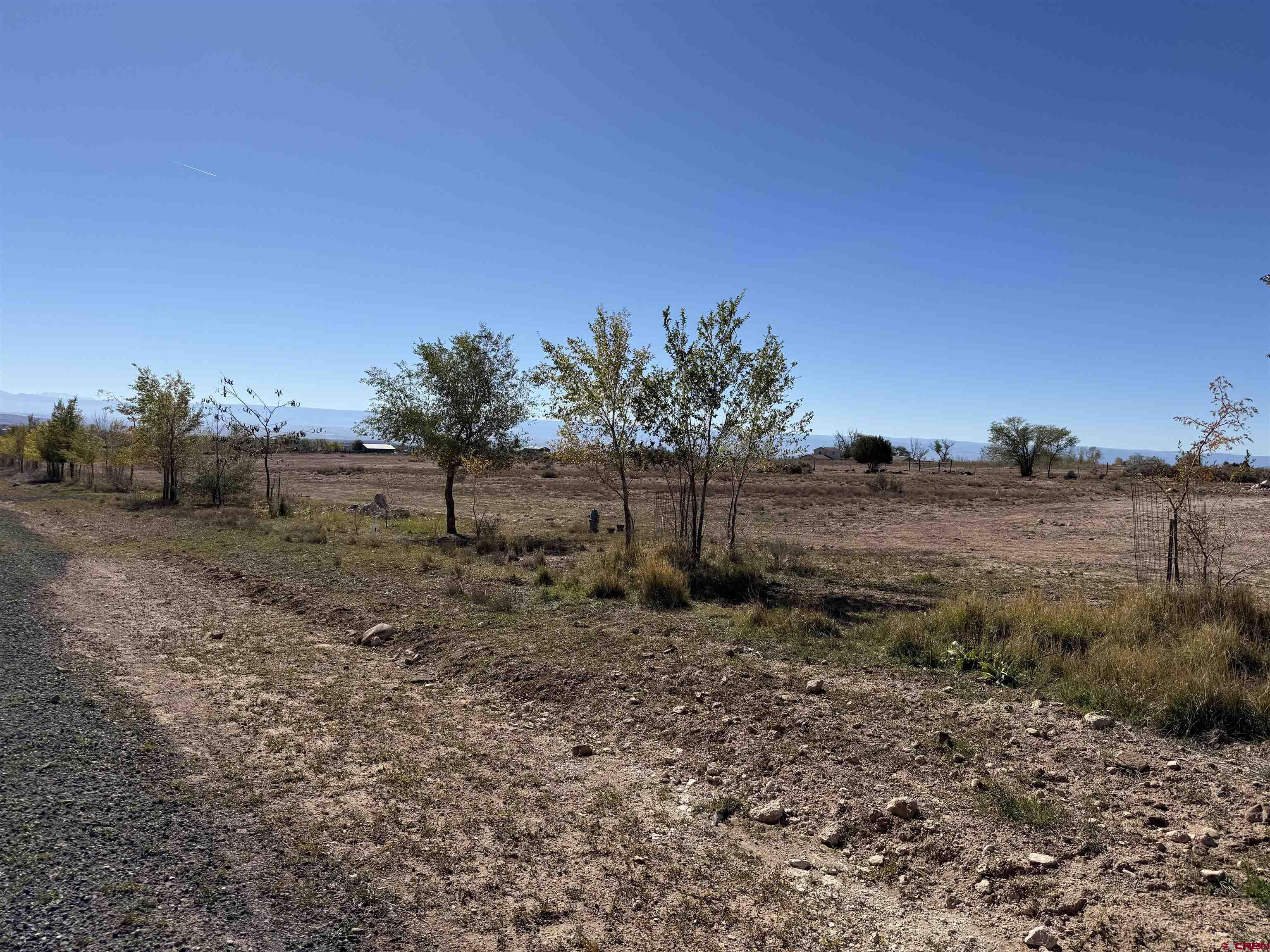 Tbd Lot 11 2625th Lane Cedaredge, CO 81413 - Photo 1 of 10 a view of a yard with a tree