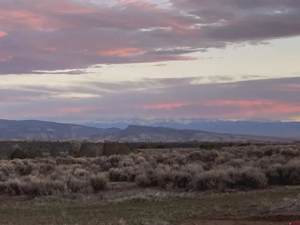 a view of an ocean beach