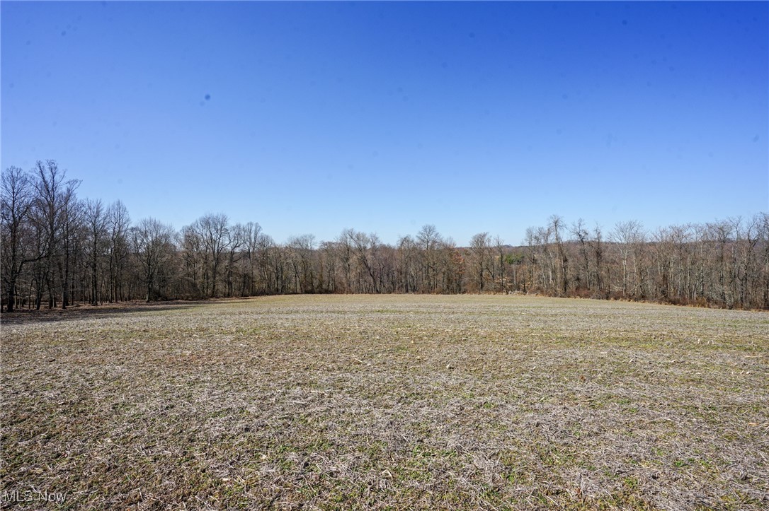 Cooks Hill Road Glenford, OH 43739 - Photo 29 of 46 View of nature featuring a wooded view