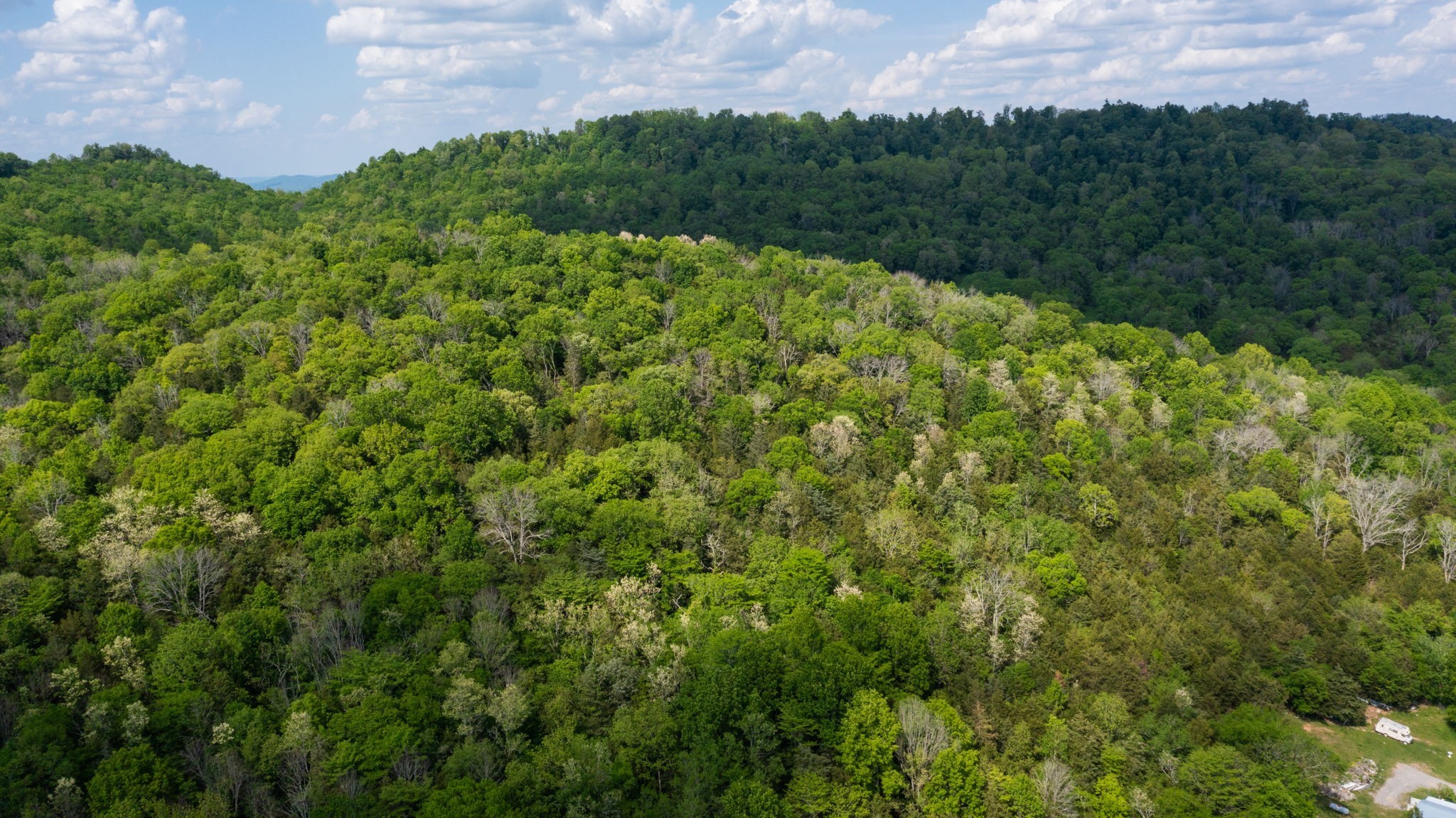 2517 Patton Hollow Road Watertown, TN 37184 - Photo 27 of 29