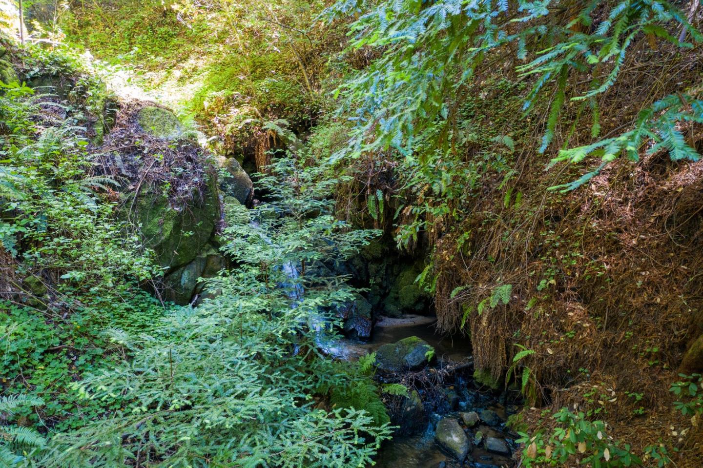 85 Pine Flat Road Santa Cruz, CA 95060 - Photo 56 of 69 Gallery Image 56