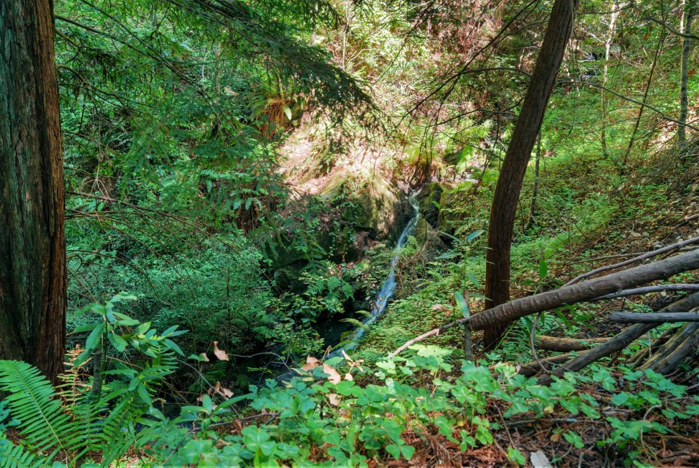 85 Pine Flat Road Santa Cruz, CA 95060 - Photo 58 of 69 Gallery Image 58