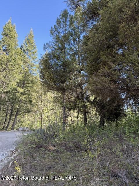 77 Redwood Road Star Valley Ranch, WY 83127 - Photo 2 of 8 IMG_4753