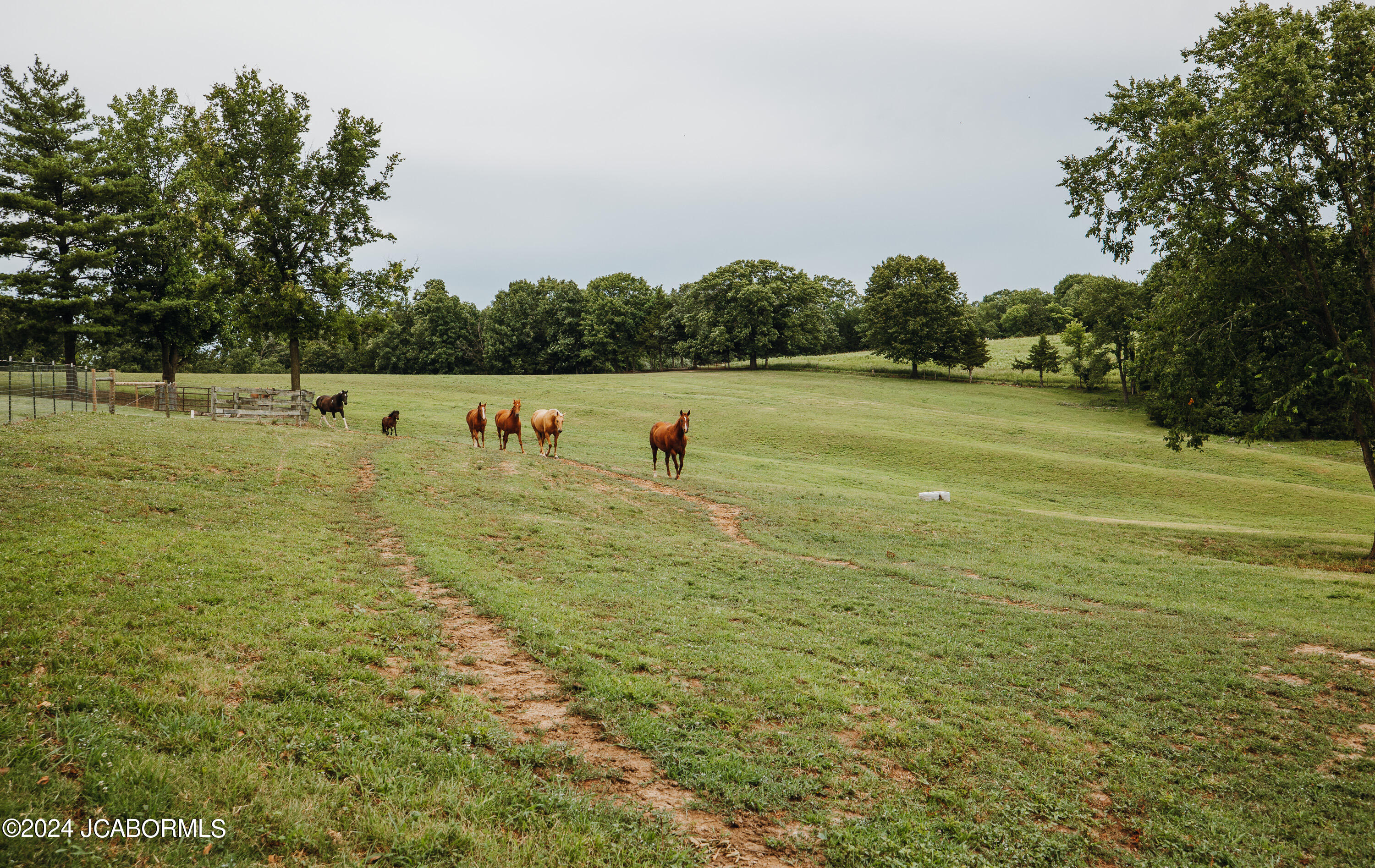 4461 State Rd AA Tebbetts, MO 65080 - Photo 61 of 75