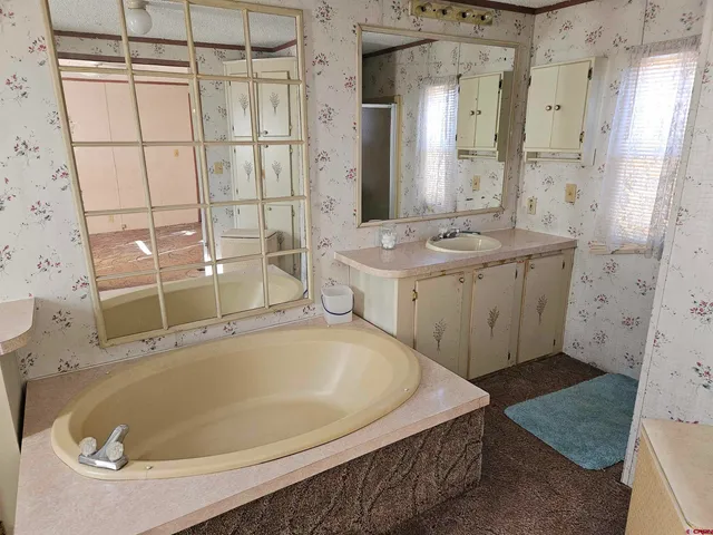a bathroom with a tub sink and mirror