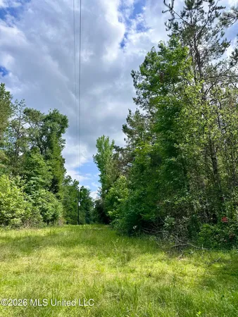 $12,500 | Cut-off Road Durant Ms 39063, Lexington, MS 39095