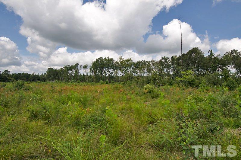 1 Green Road Spring Hope, NC 27882 - Photo 15 of 15