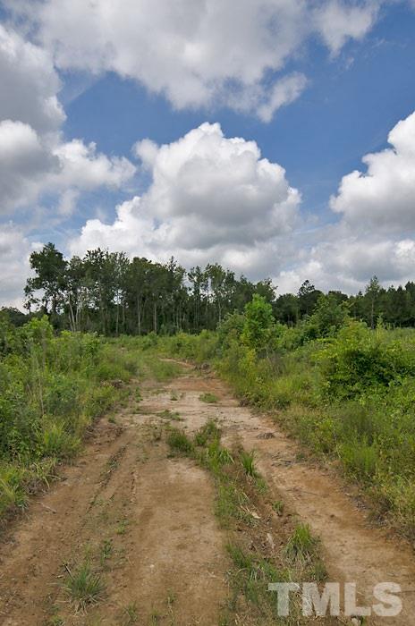 1 Green Road Spring Hope, NC 27882 - Photo 4 of 15 a view of a big yard with lots of green space