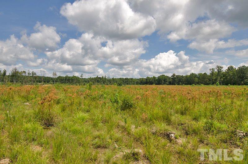 1 Green Road Spring Hope, NC 27882 - Photo 5 of 15 a view of a lake with houses in the back
