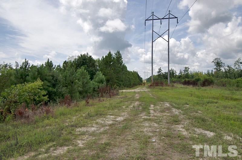 1 Green Road Spring Hope, NC 27882 - Photo 9 of 15 a view of a city from a yard