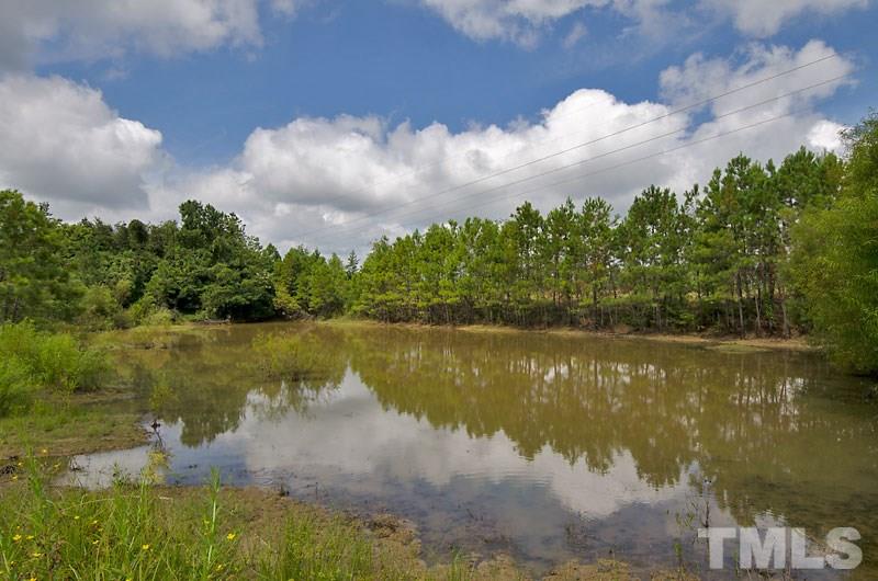 1 Green Road Spring Hope, NC 27882 - Photo 10 of 15 a view of a lake in between the floor and trees