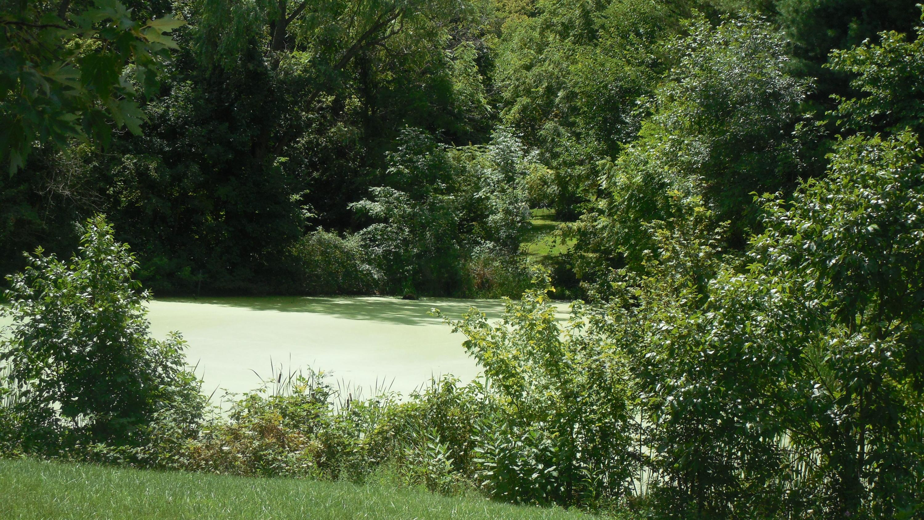 3635 Whetstone River Road South Marion, OH 43302 - Photo 20 of 26