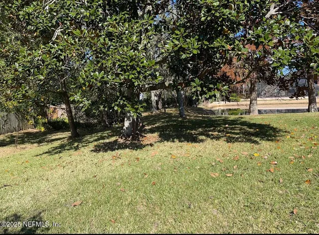 a view of a yard with trees