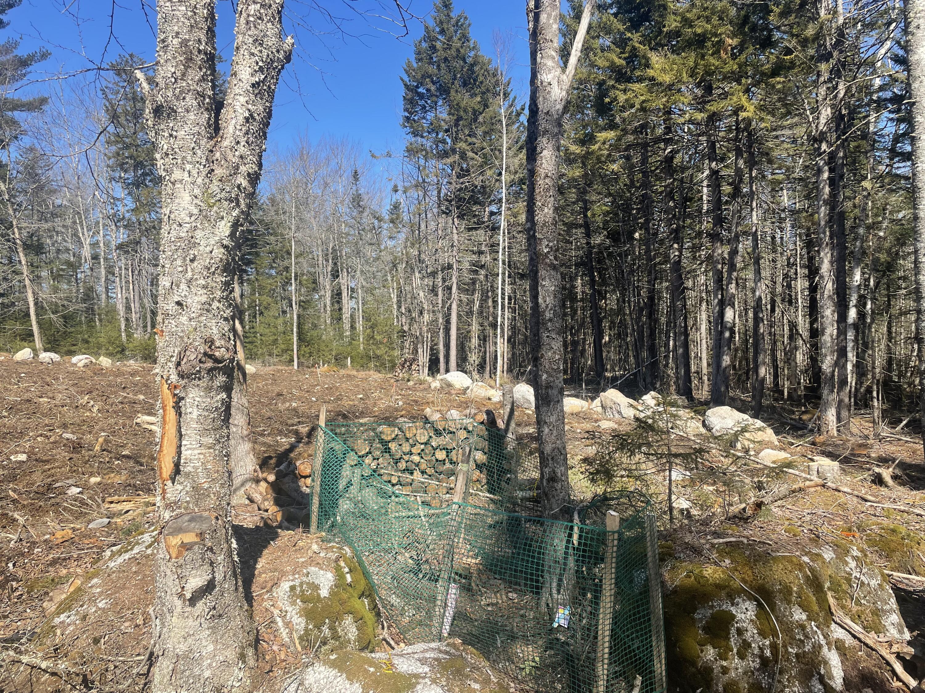 Map19-lot60 High Point Drive Penobscot, ME 04476 - Photo 12 of 15 image00012