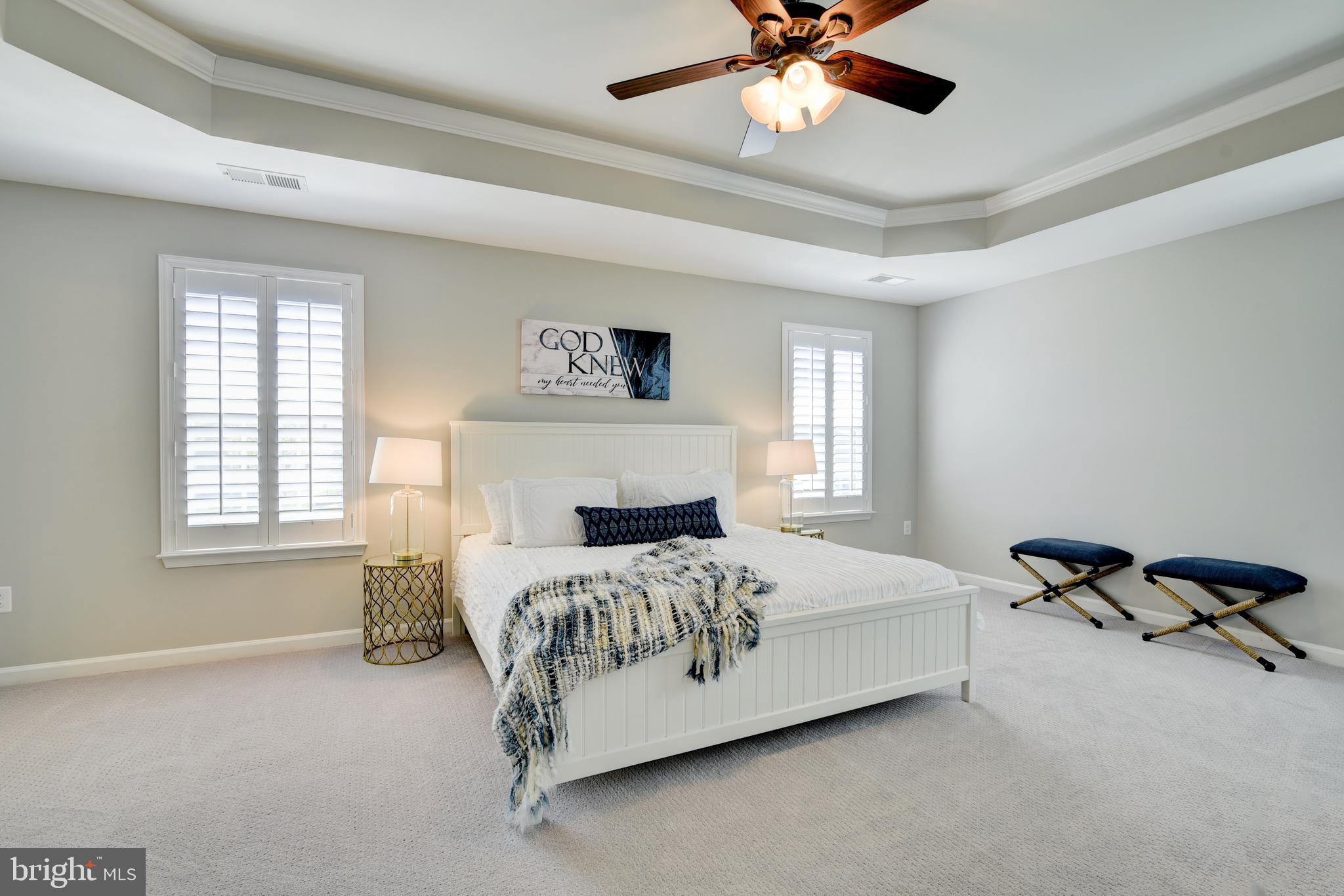 113 Atlantis Lane Front Royal, VA 22630 - Photo 26 of 58 Primary bedroom with tray ceiling