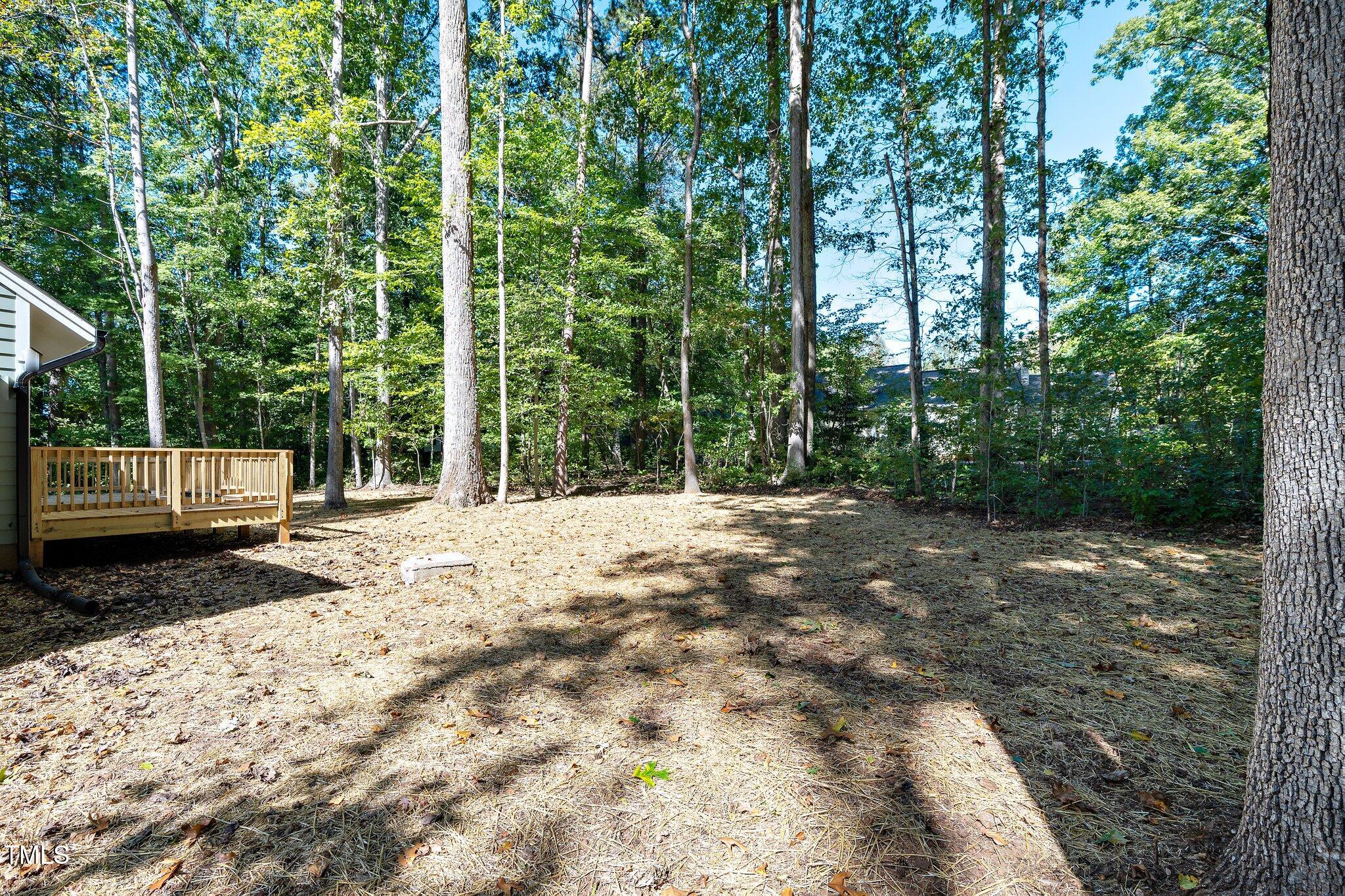 8112 Rhudy Place Raleigh, NC 27612 - Photo 33 of 39 a view of a backyard with large trees and plants