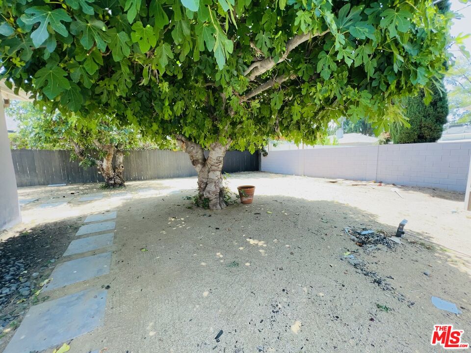 5757 Vesper Avenue Van Nuys, CA 91411 - Photo 15 of 18 a view of a yard with a tree