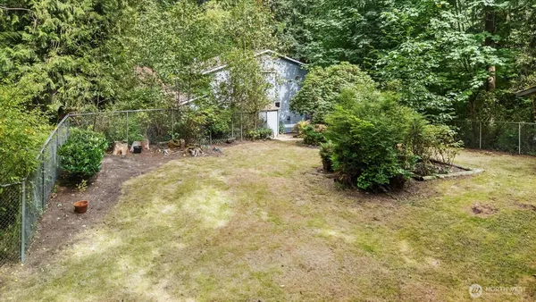 a view of a yard with a tree