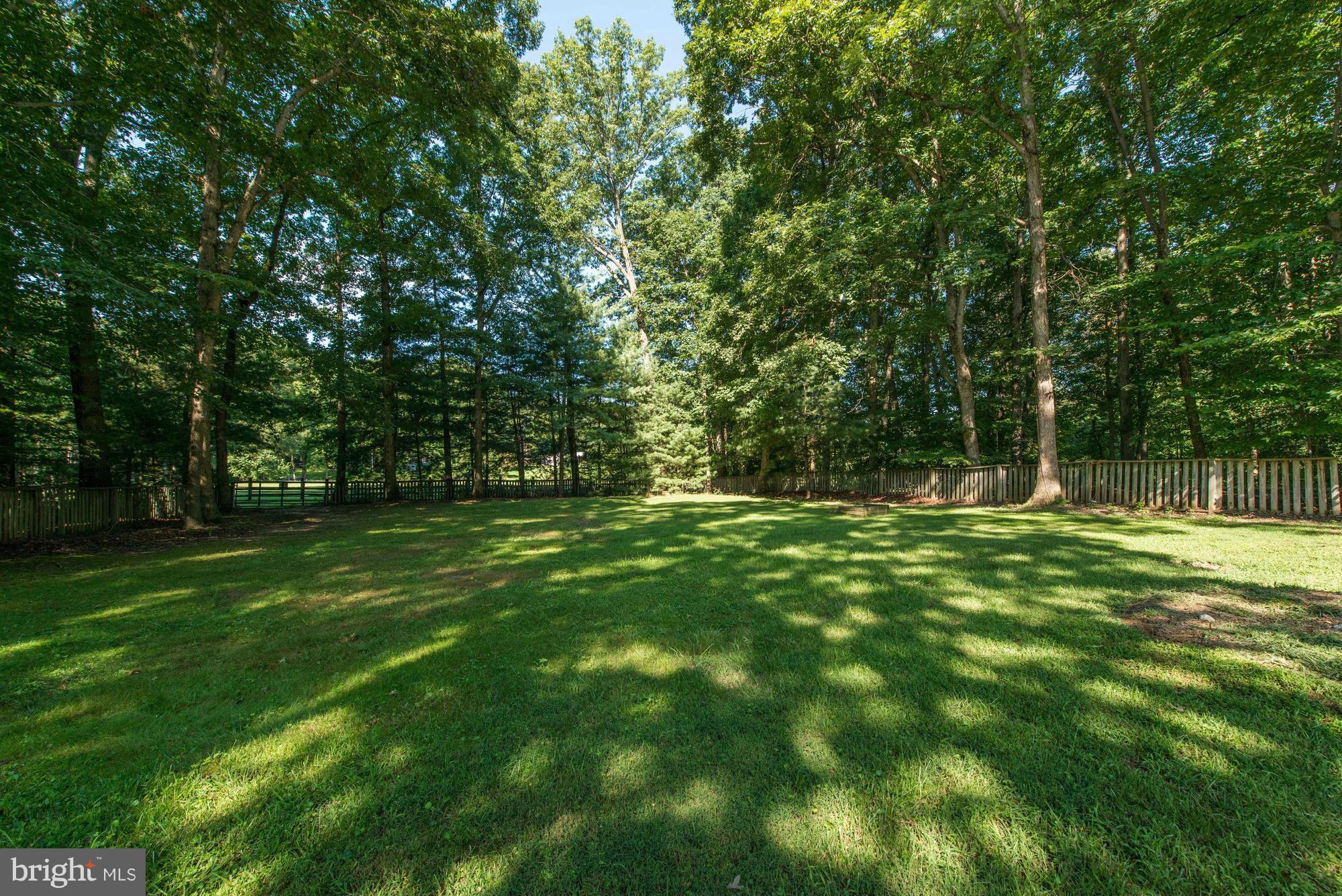 3664 Russell Road Woodbridge, VA 22192 - Photo 28 of 30 View