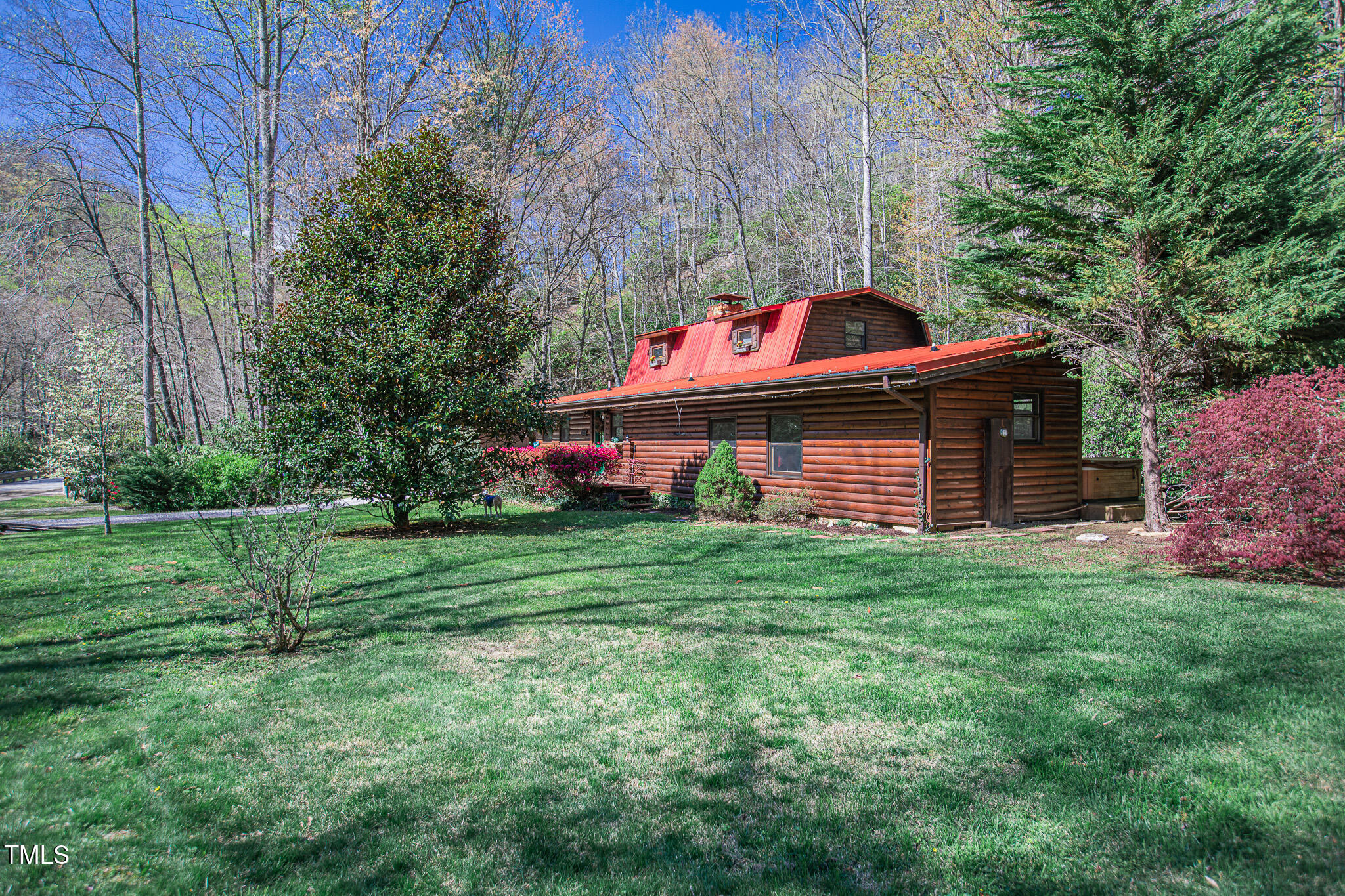 4989 West Buffalo Road Robbinsville, NC 28771 - Photo 4 of 44 _U5A2738