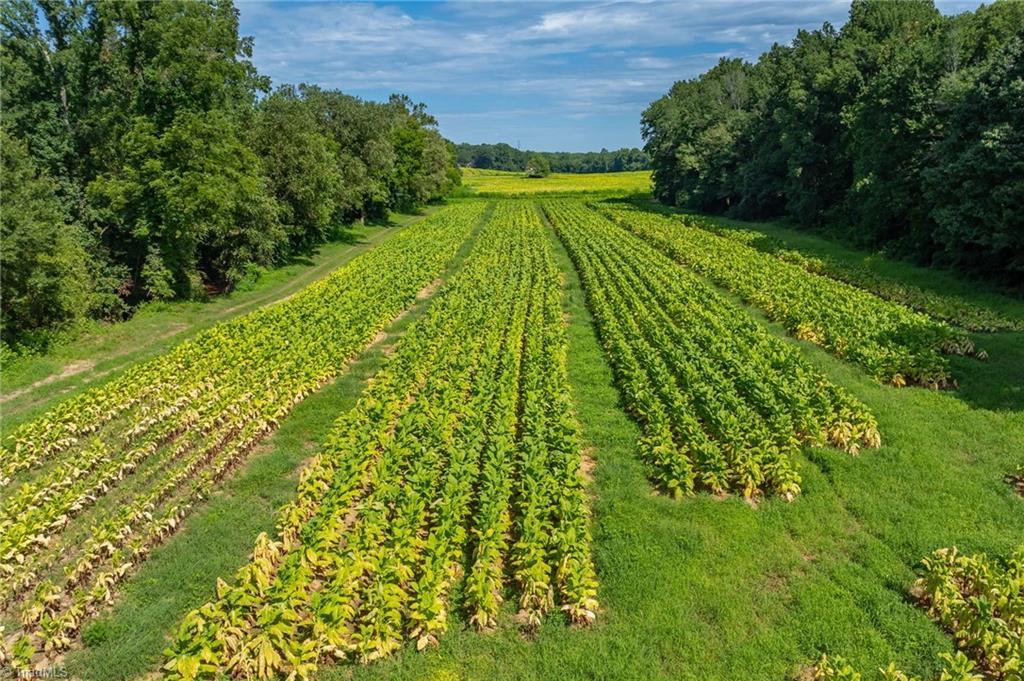 0 High Point Road Kernersville, NC 27284 - Photo 11 of 14