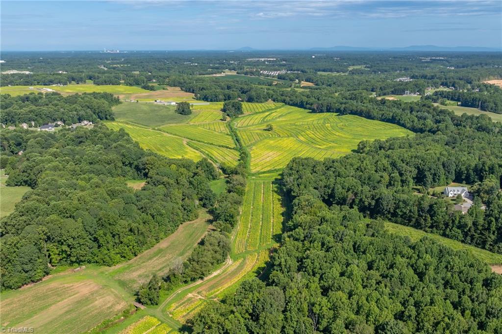 0 High Point Road Kernersville, NC 27284 - Photo 4 of 14