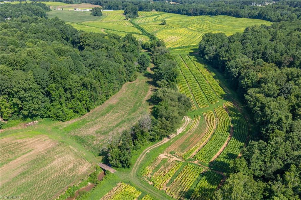 0 High Point Road Kernersville, NC 27284 - Photo 6 of 14