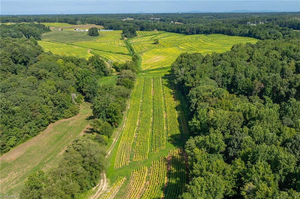 0 High Point Road Kernersville, NC 27284 - Photo 8 of 14