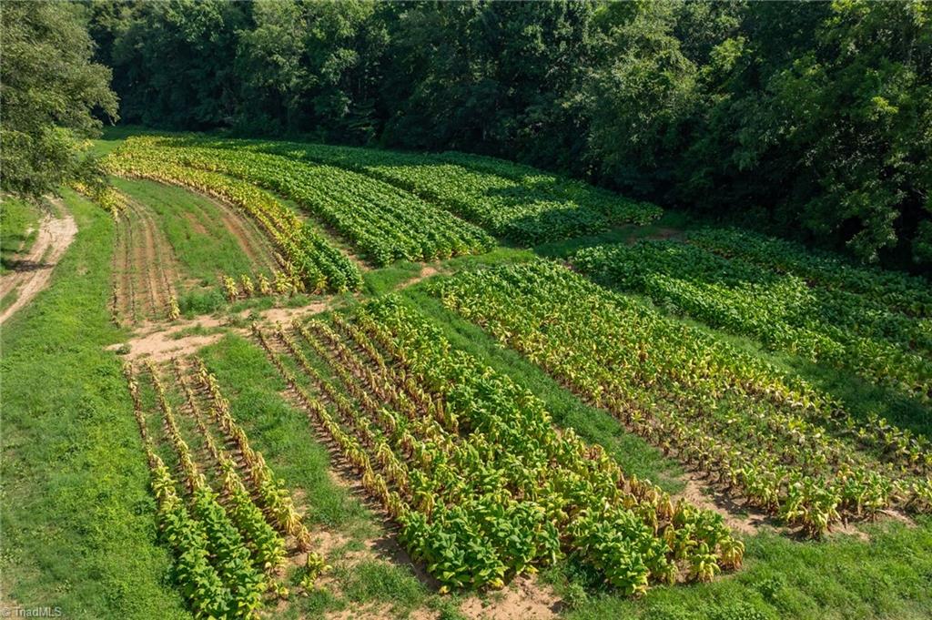 0 High Point Road Kernersville, NC 27284 - Photo 10 of 14