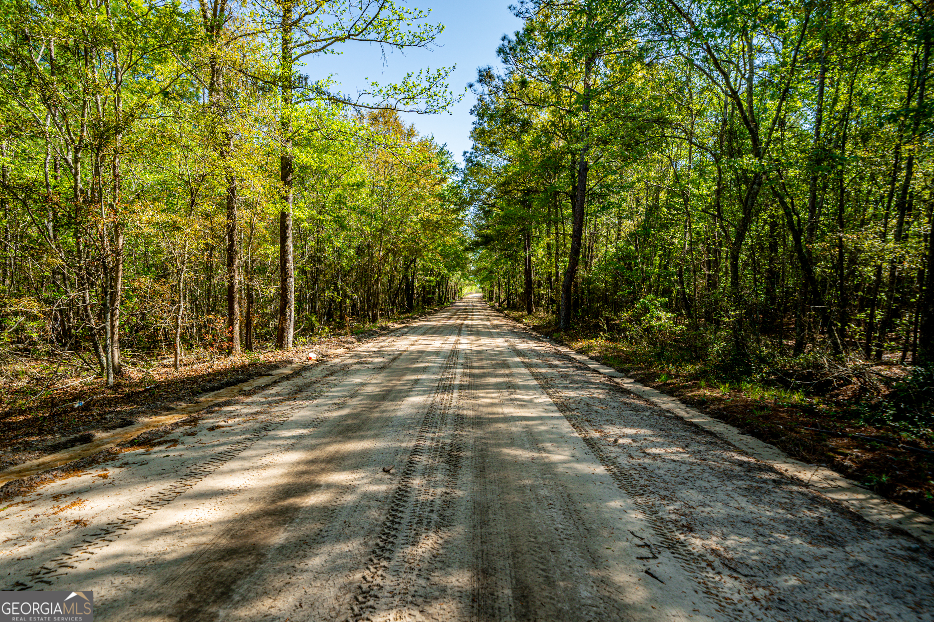 0 Edenfield Road Reidsville, GA 30453 - Photo 12 of 13