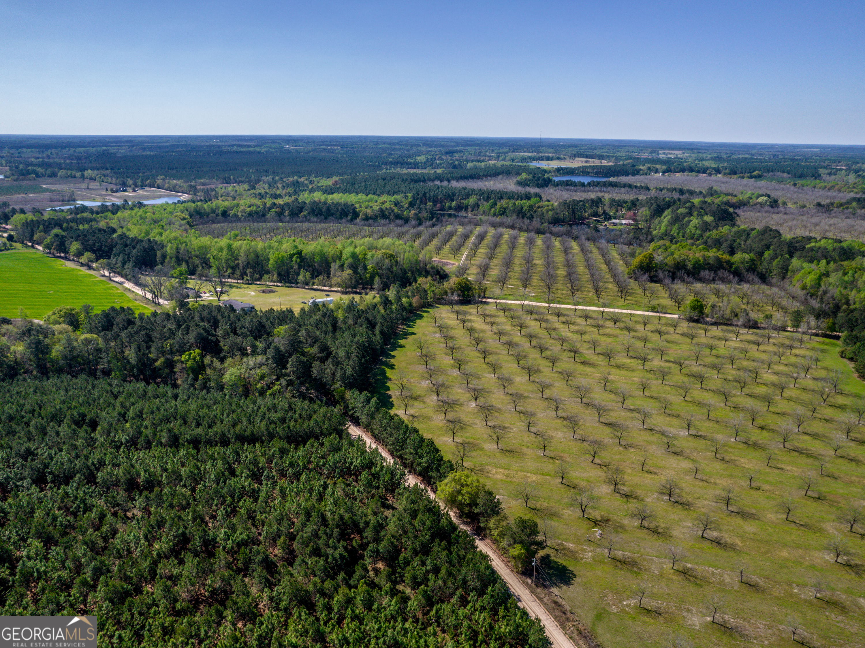 0 Edenfield Road Reidsville, GA 30453 - Photo 13 of 13