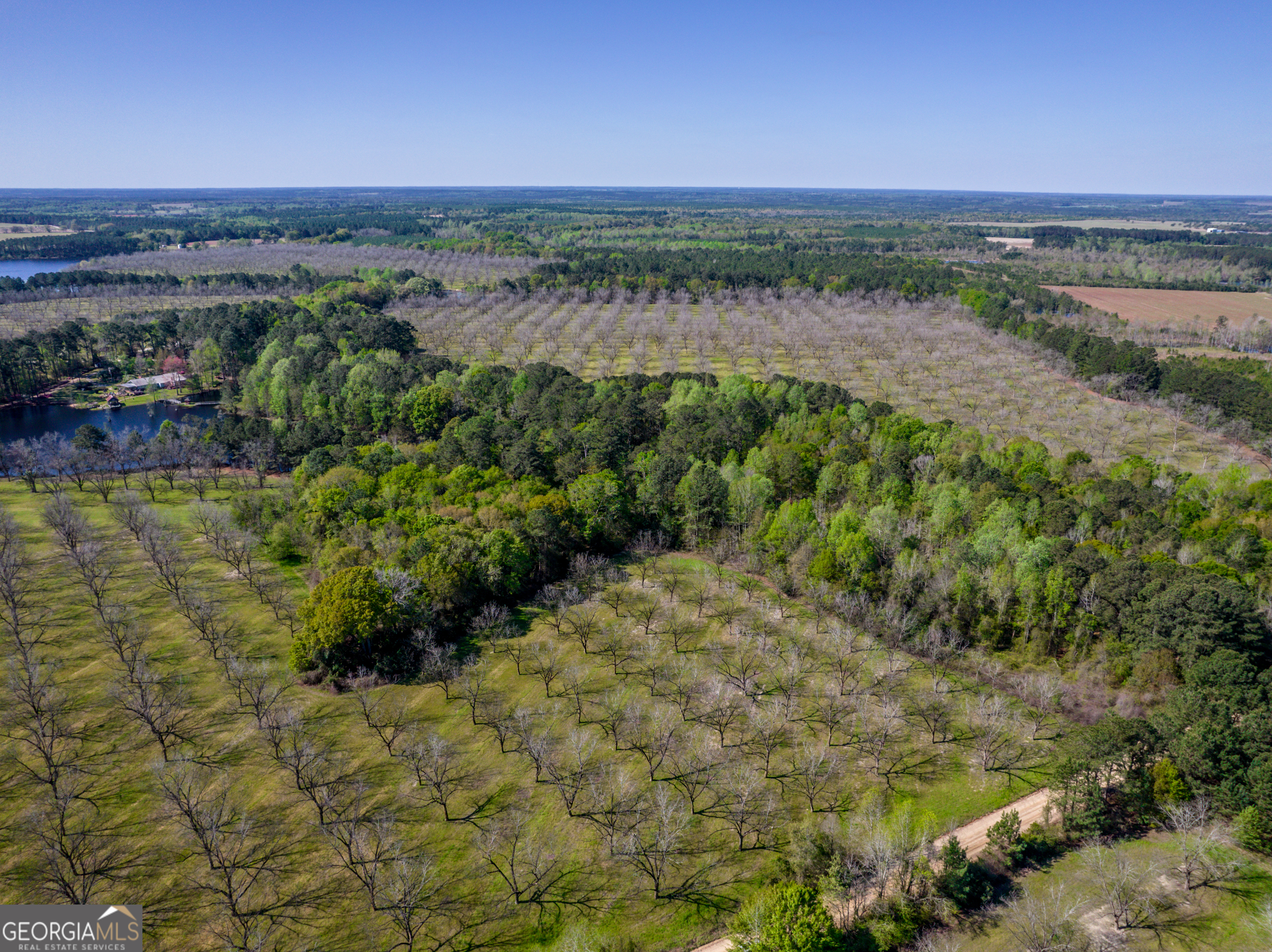 0 Edenfield Road Reidsville, GA 30453 - Photo 5 of 13